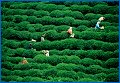 01 (01)
